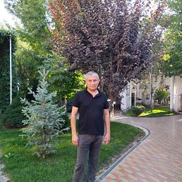 Alisher, 58, 