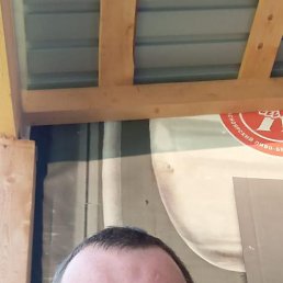 , 38 , 