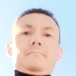 , , 41 