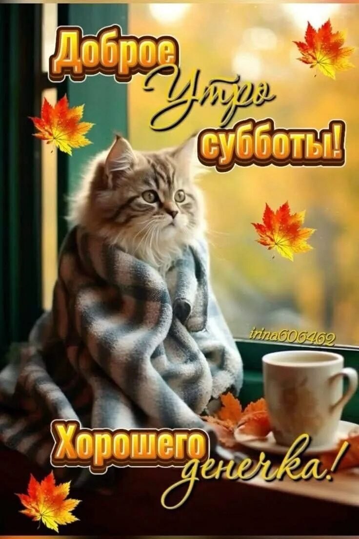 ***Victoria Viktorovna*** - 25 октября 2025 в 05:45