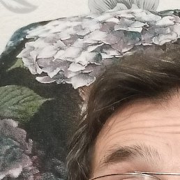 ����, ������, 59 ���