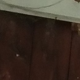 �����, ������, 54 ����