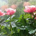 ���� �����, ������ - ��������� 14 ������ 2026 � ������ ���� ����������