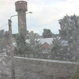 Dmitryi, �����, 50 ���