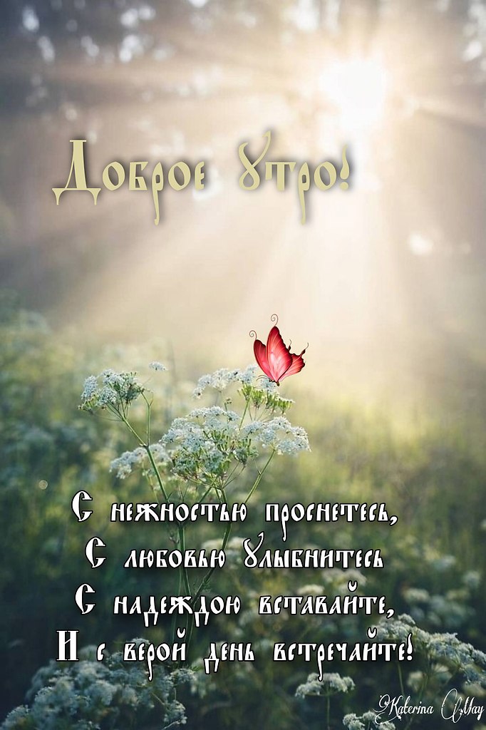   - 23  2025  09:01