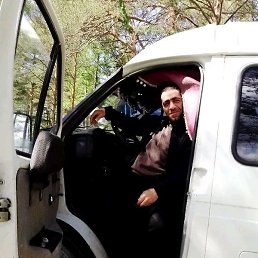 �����, �����������, 49 ���