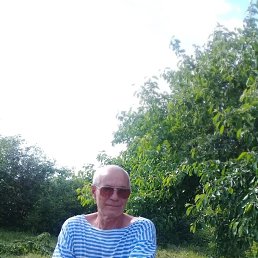 , 60, 