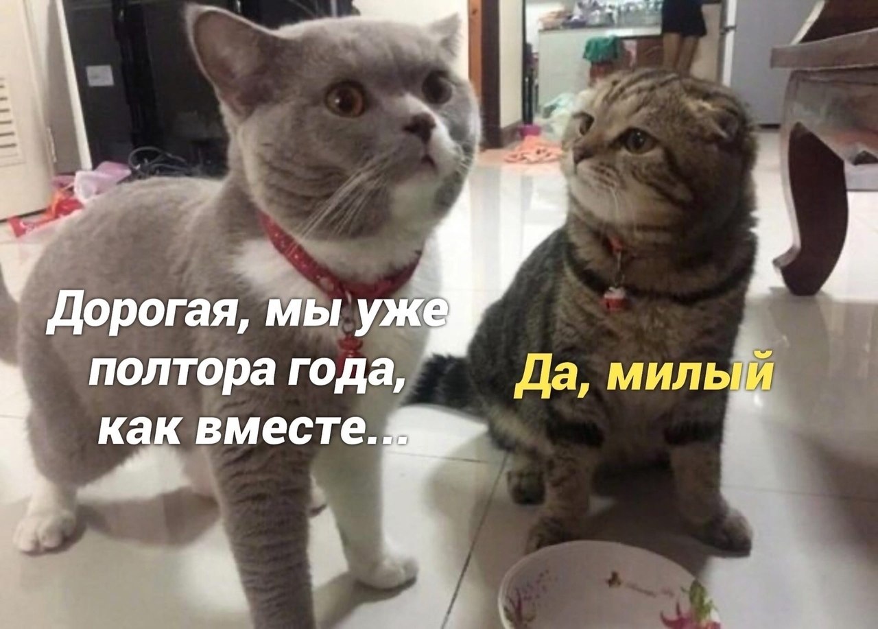 ������ ���� ������