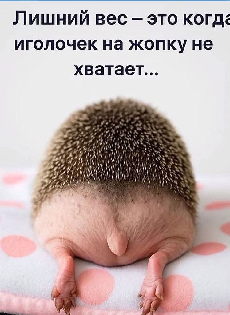  - 15  2025  03:23