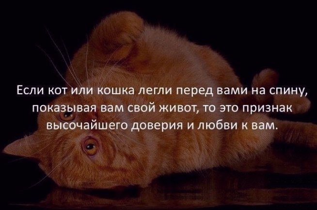  - 3  2025  18:41