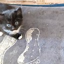 ���� Vladimir, ������, 68 ��� - ��������� 26 ������� 2023 � ������ ���� ������� ������ - ������!�