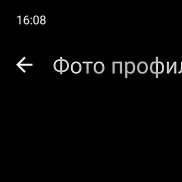 �������, 43 ����, ������