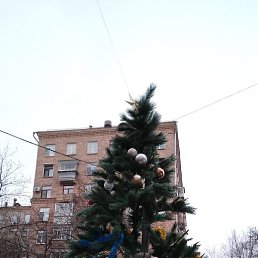 �����, ������, 29 ���