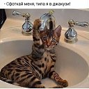 ���� Nina, ������, 47 ��� - ��������� 14 ������ 2023 � ������ ���� ����������