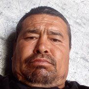 , 43 , 
