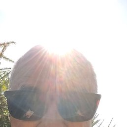 �����, ������, 65 ���