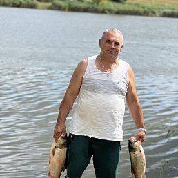 , 62, 