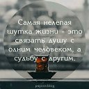  , , 56  -  11  2024    