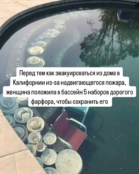 ��������� �������