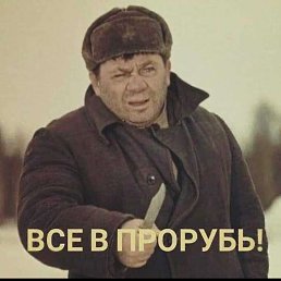 ������, 53 ����, ����