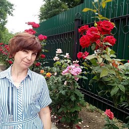 ���������, ������-��-����, 59 ���