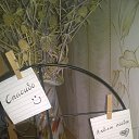 ���� ������, ������, 50 ��� - ��������� 12 ������ 2026