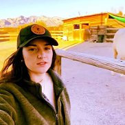  , 33 , 