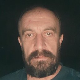 ���������, ���������, 46 ���