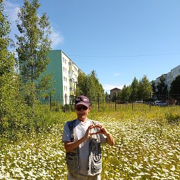 ���� ������� ��������, �������, 50 ��� - ��������� 28 ������ 2026