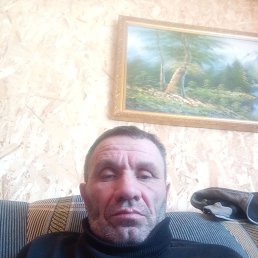 ������, 46 ���, �����������