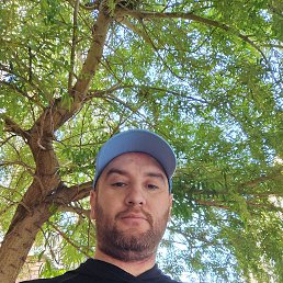, 28 , 