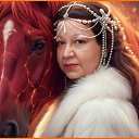 ���� �������, �����-���������, 63 ���� - ��������� 13 ������ 2026 � ������ ���� ����������