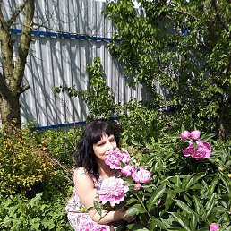 �����, ������, 44 ����