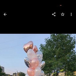 �����, �����-���������, 61 ���