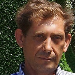 �����, ��������