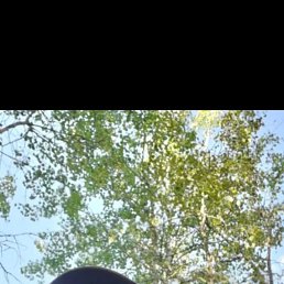 , 40,  