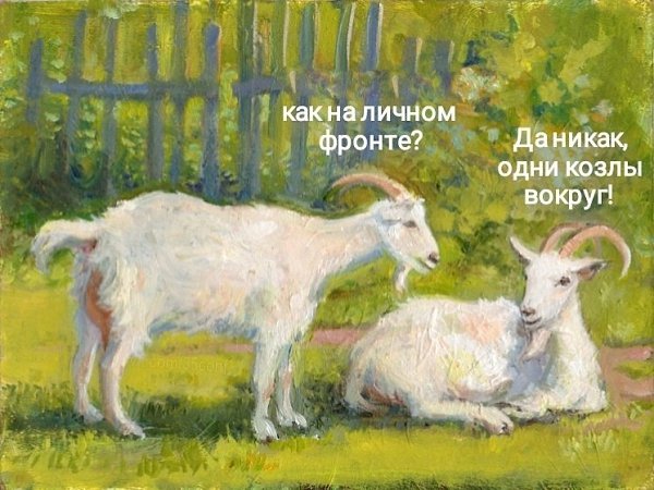 " ") - 13  2023  12:30