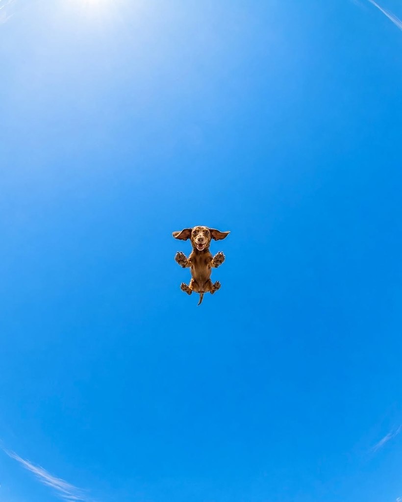 ������ ��������� :D - 19 ��� 2026 � 08:23 - 5