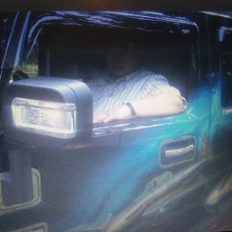 �����, �����-���������, 52 ����