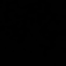 ����, �����-���������, 26 ���