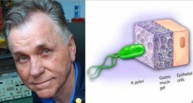 A     ,   Helicobacter pylori   ...