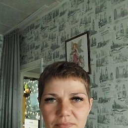 , 41,  