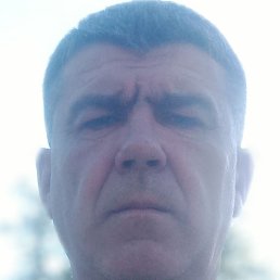 ,  , 51 