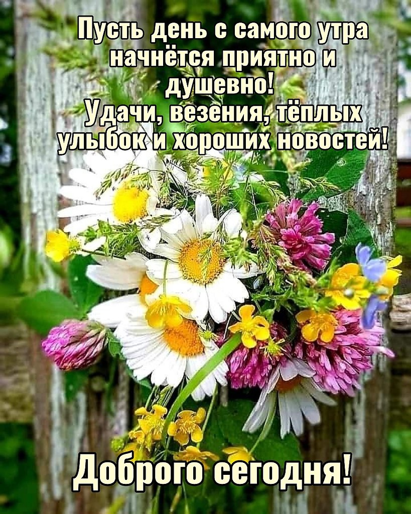   ,    . - 12  2025  09:01