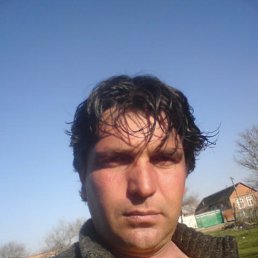 , 49, 
