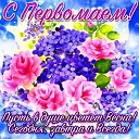 ���� ��������, ������, 84 ���� - ��������� 1 ��� 2026 � ������ ������ ��������