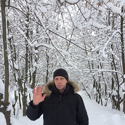 , 61 , 