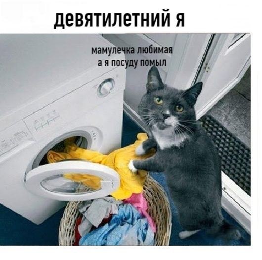    - 20  2024  06:28