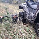 ���� ˸��, ������, 52 ���� - ��������� 7 ����� 2026 � ������ ���� ����������
