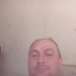 , 39, 